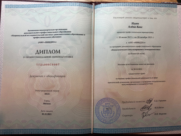 Диплом 6