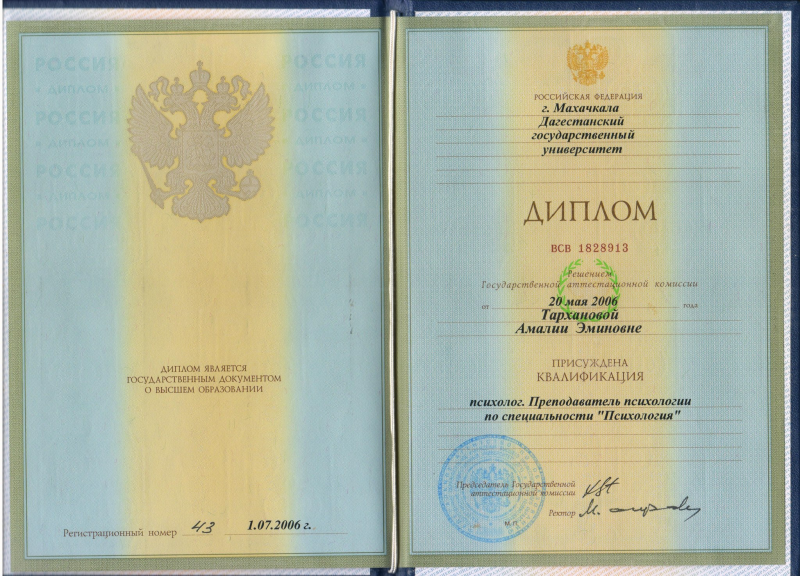 Диплом 6