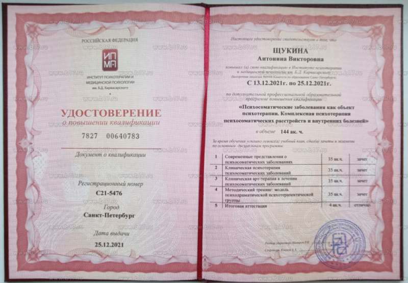 Диплом 5