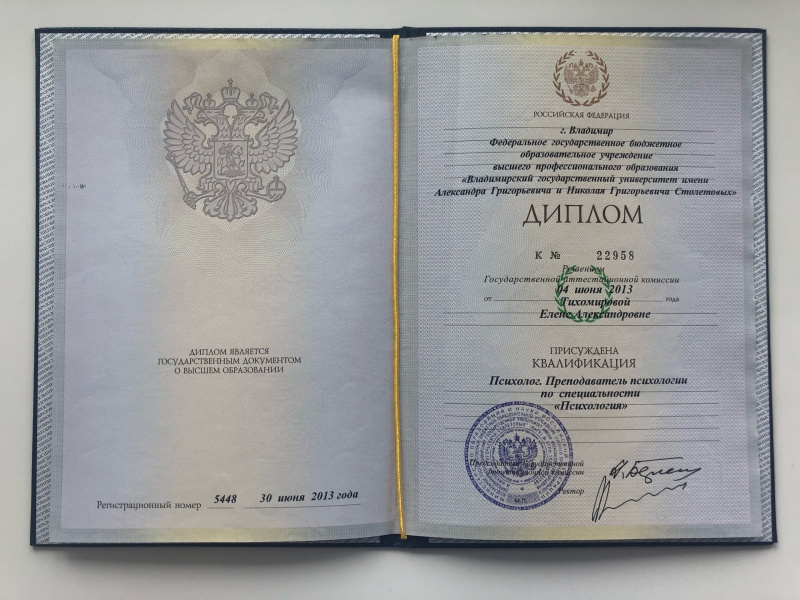 Диплом 1