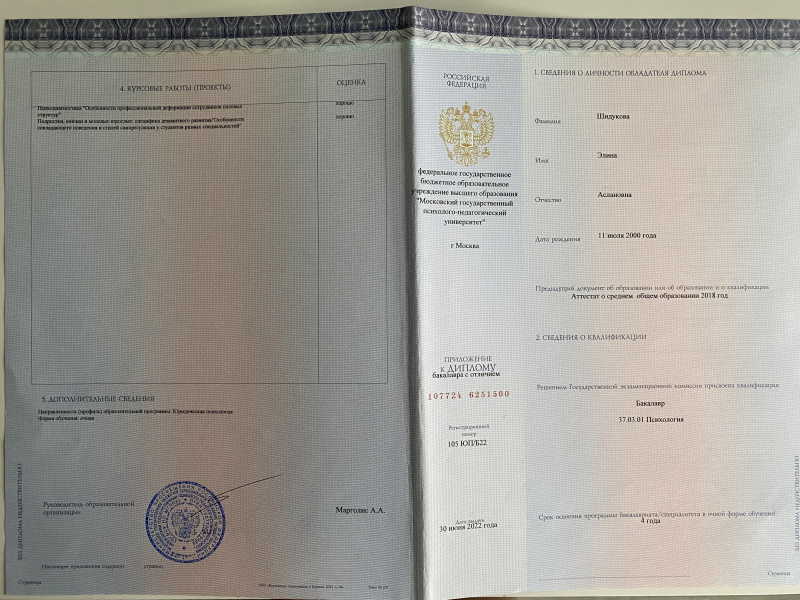 Диплом 5