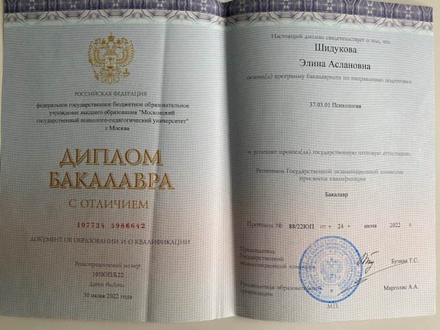 Диплом 1