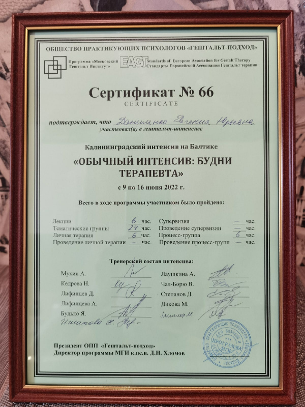 Диплом 1