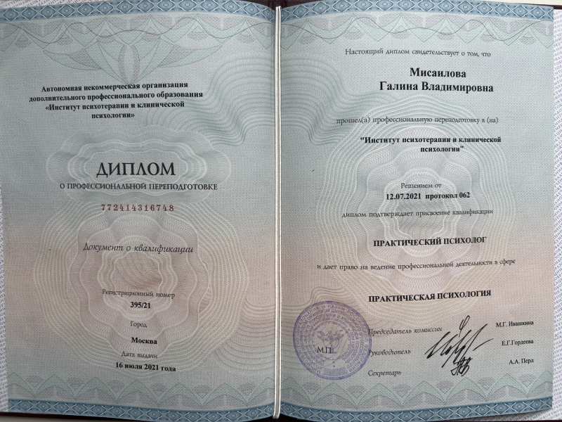 Диплом 1