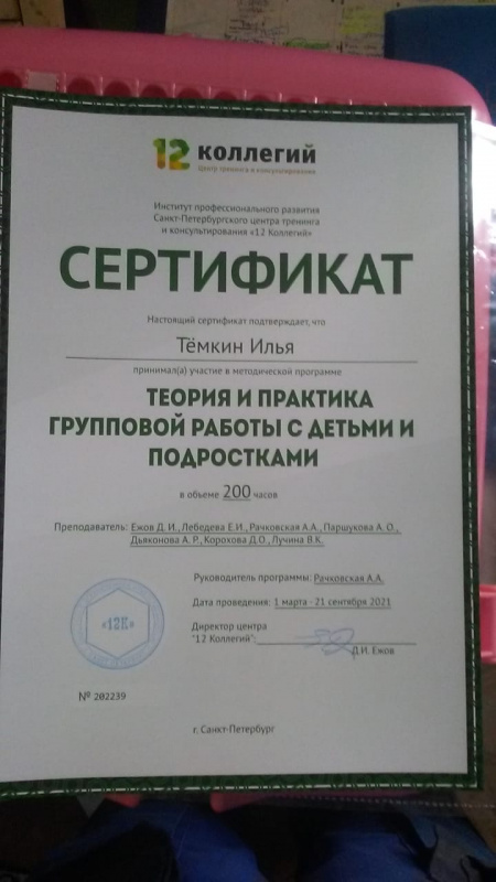 Диплом 2
