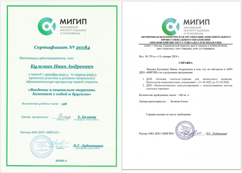 Диплом 1