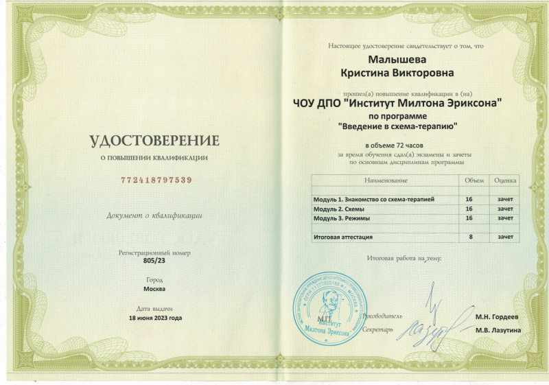 Диплом 5