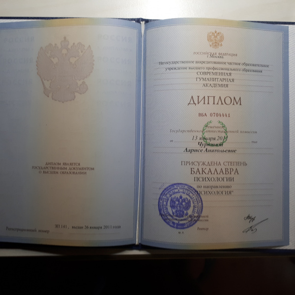 Диплом 1