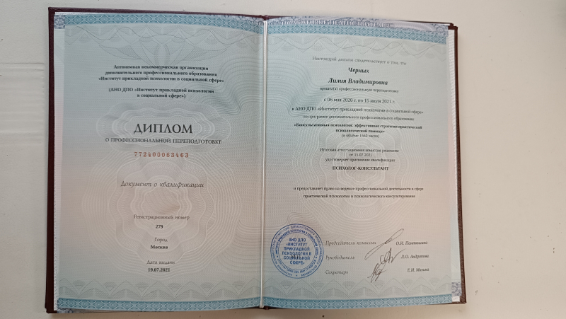 Диплом 1