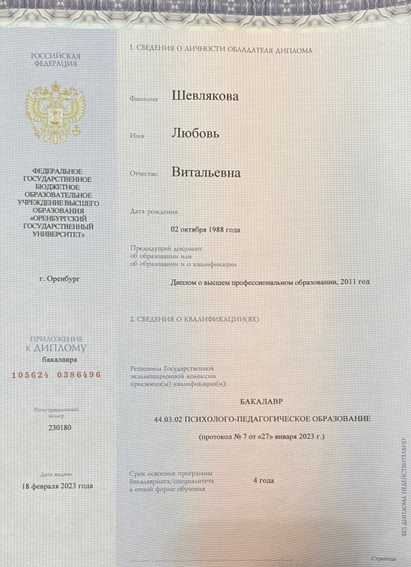 Диплом 1