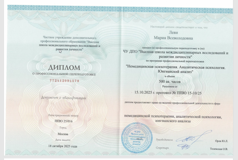 Диплом 6