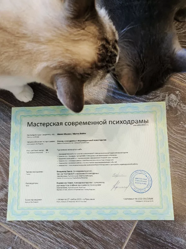 Диплом 1