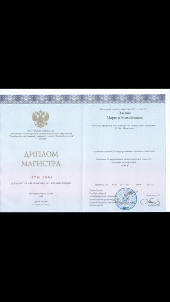 Диплом 3