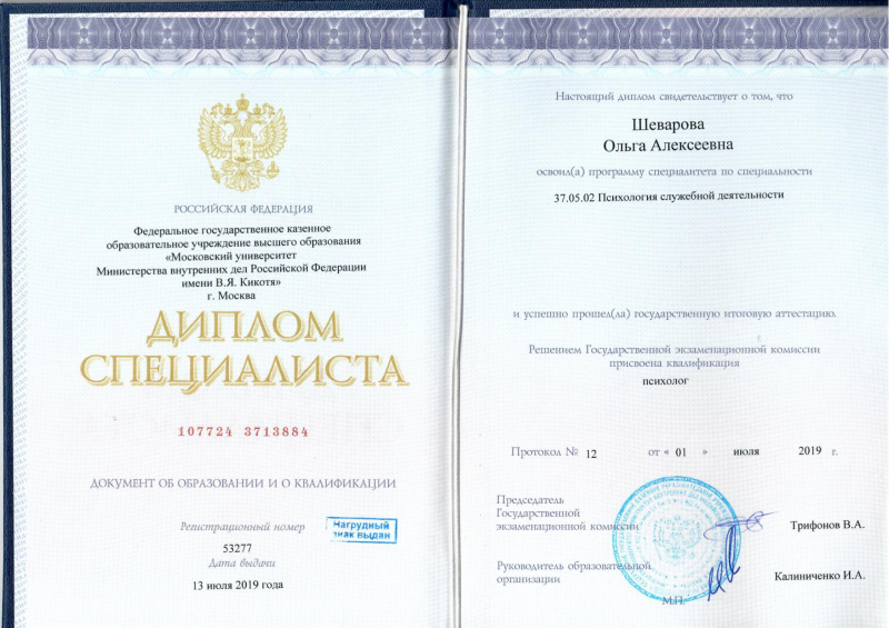Диплом 1