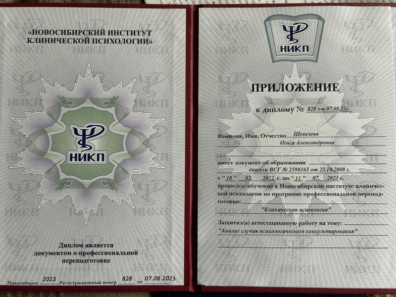 Диплом 1