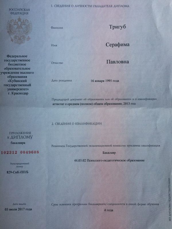 Диплом 1