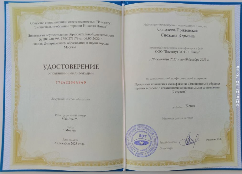 Диплом 5
