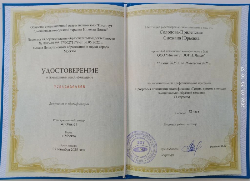 Диплом 4