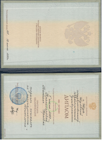 Диплом 1