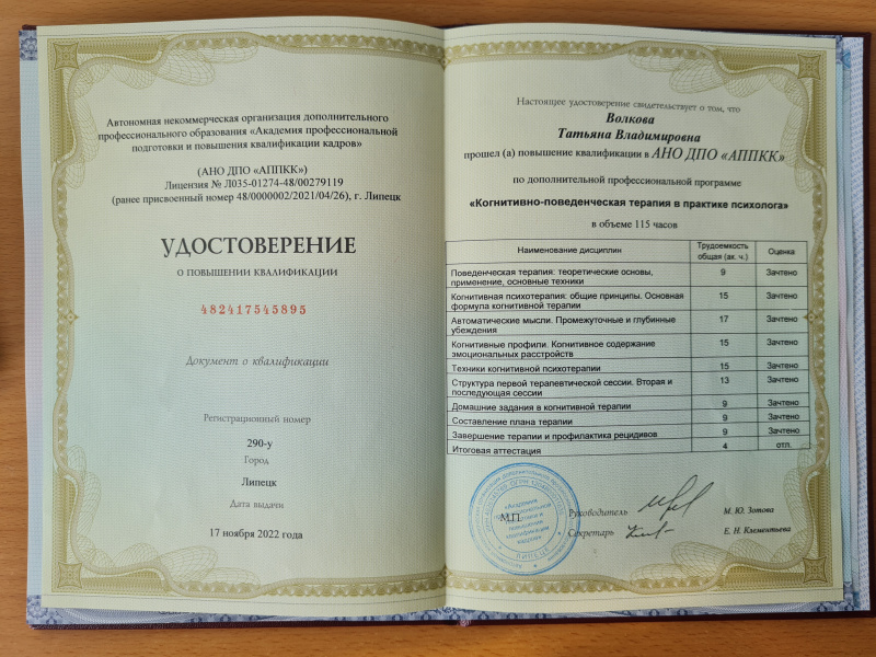 Диплом 2