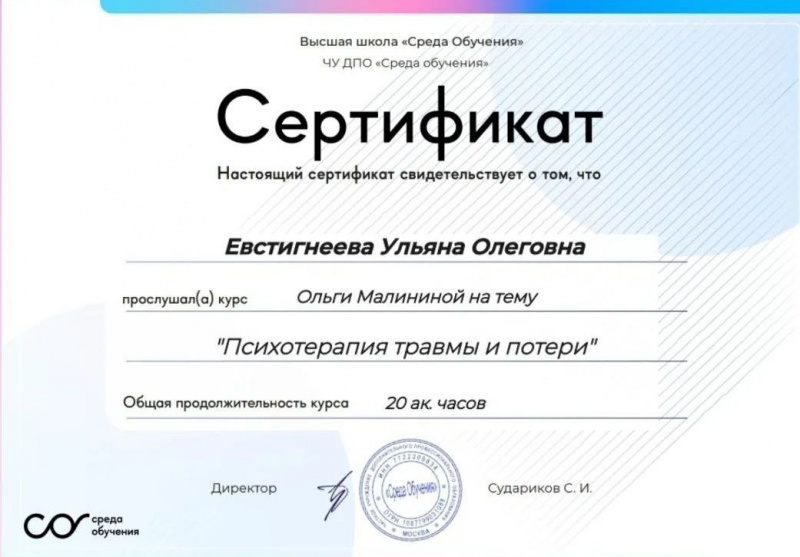 Диплом 2
