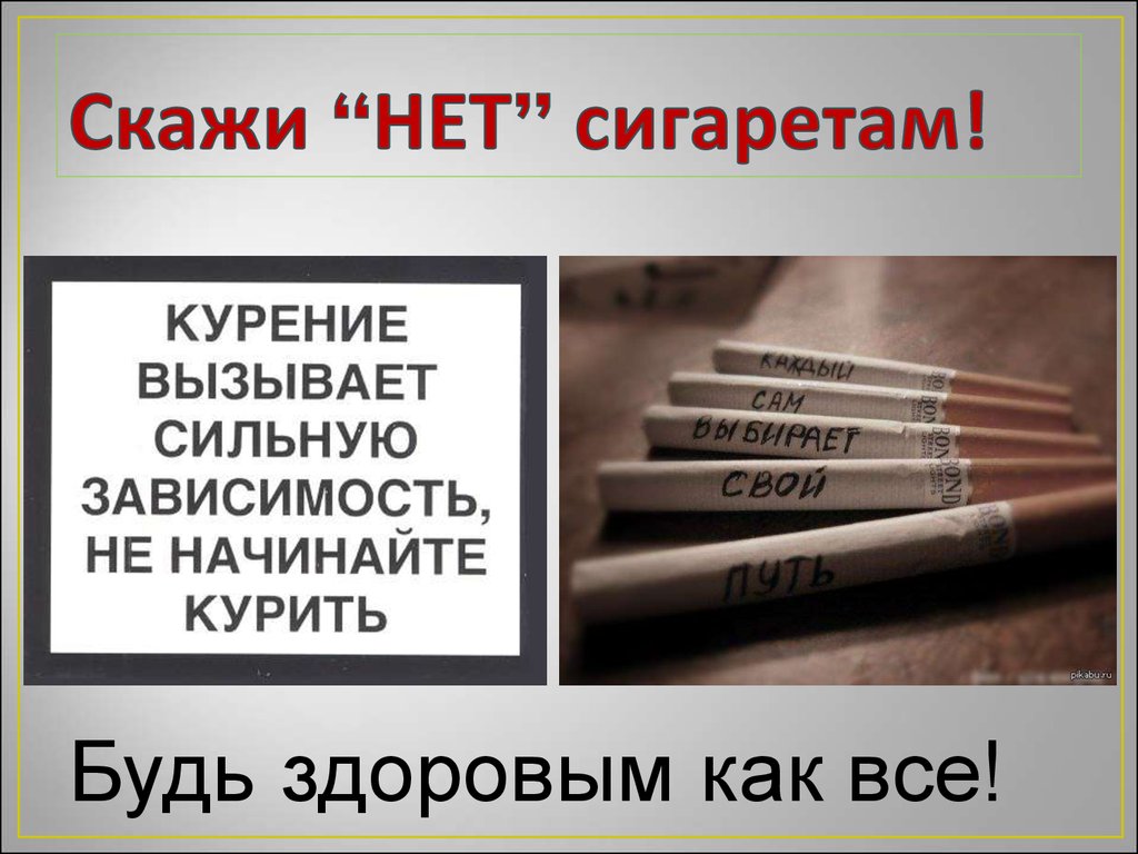 slide-5.jpg